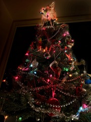 The Bluestocking: Next stop, Christmas!