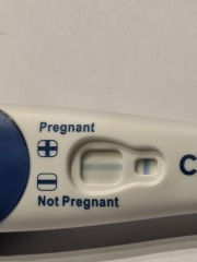 Line eyes? 11dpo 🤔