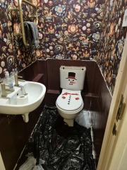 Downstairs loo decor help