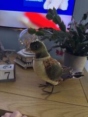 50 days to go and counting...time to get organised as the big man is on his way soon! Countdown to Christmas 2025, thread 3