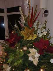 Have we had a Christmas tree thread this year?
