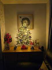 Have we had a Christmas tree thread this year?