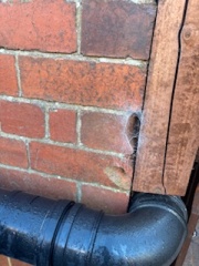 How can I get the right advice and solution re damp and mould?