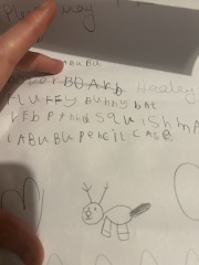 Child wants a “6 pack of Labubu” for Xmas and I haven’t got a clue