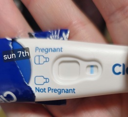 Line eyes or pregnant?