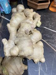 The Nigel Slater Christmas Chronicles readalong 2025 - Part 2