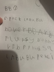 Child wants a “6 pack of Labubu” for Xmas and I haven’t got a clue