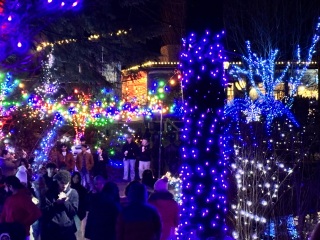 Come and tell us your dull and unexciting news 34: Calmly through the day