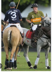 RF, William, Kate and cruelty to animals