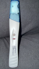 Line too faint at 20dpo