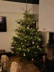 Have we had a Christmas tree thread this year?