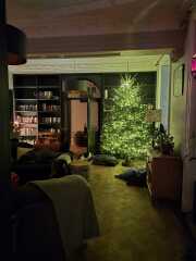 Have we had a Christmas tree thread this year?