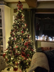 Have we had a Christmas tree thread this year?