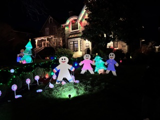 Daily Project round 8