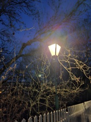 The Nigel Slater Christmas Chronicles readalong 2025 - Part 2