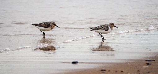 The Bluestocking: Next stop, Christmas!