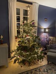 Poncetastic Christmas 2025