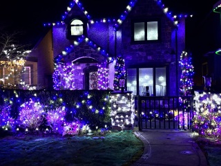 Daily Project round 8