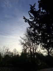 The Nigel Slater Christmas Chronicles readalong 2025 - Part 2