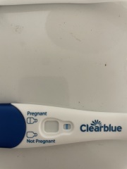 Pregnant ? Confused