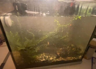 What are you up to today if you have chronic illness? Thread 4