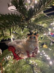 Show your best worst tree ornament