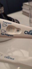Clear Blue test results