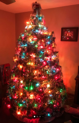 What do you like about Christmas (that a lot of MN seems to think should be "banned"?)