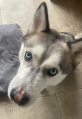 🎄 2025 Style and Beauty Advent Calendar Discussion ***SPOILERS*** THREAD 10