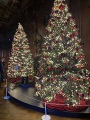 Come and tell us your dull and unexciting news 34: Calmly through the day