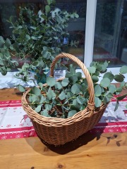 The Nigel Slater Christmas Chronicles Readalong 2025 - Part 3