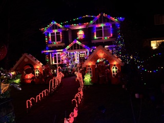 Daily Project round 8