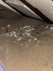 Can anyone tell me whether this is asbestos!