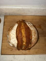 To show you all my sourdough