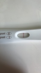 Positive 8-9dpo after miscarriage month before