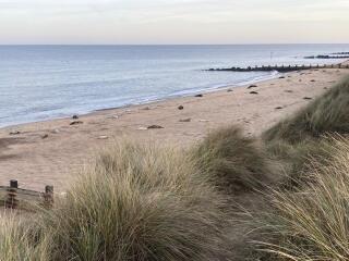 The Great Recovery part 4