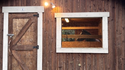 Daily Project round 8