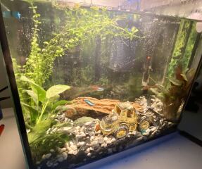 What are you up to today if you have chronic illness? Thread 4