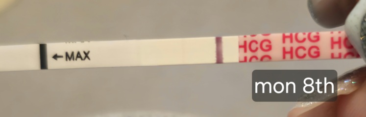 Line eyes or pregnant?