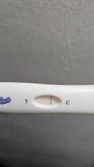 Implantation dip? And vvvvvf line?