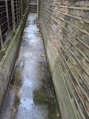 Damp sewer smell from floorboards