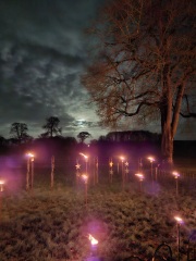 The Nigel Slater Christmas Chronicles readalong 2025 - Part 2