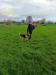 Rescue Dog - Help please