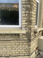 Damp! Paging @pigletjohn (with photos)