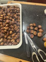 Poncetastic Christmas 2025