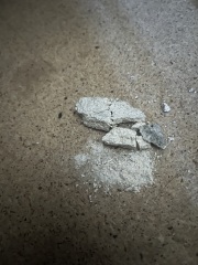 Can anyone tell me whether this is asbestos!