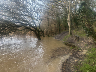 The Nigel Slater Christmas Chronicles readalong 2025 - Part 2