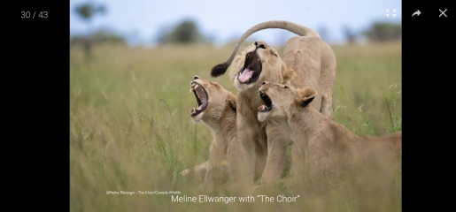 The Bluestocking: Next stop, Christmas!