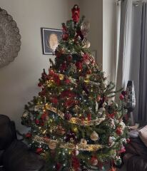 Or do fake trees always  look crap?