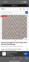 Will these carpet shades look okay together ?